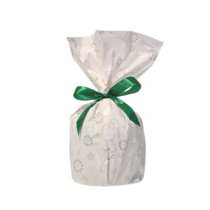 Panettone choco chips 500g