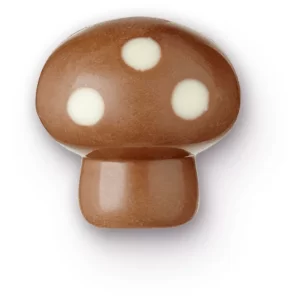 Mushroom caramel hazelnuts milk (pralina)
