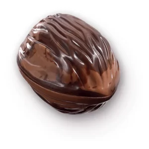 Walnut Milk - Walnut cream (pralina)