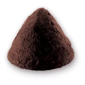 Truffe Noisette Noir (pralina)